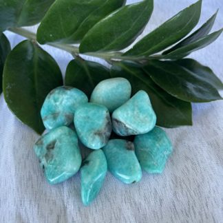 Amazonite Tumbled Crystals