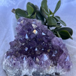 Amethyst Clusters - 748g