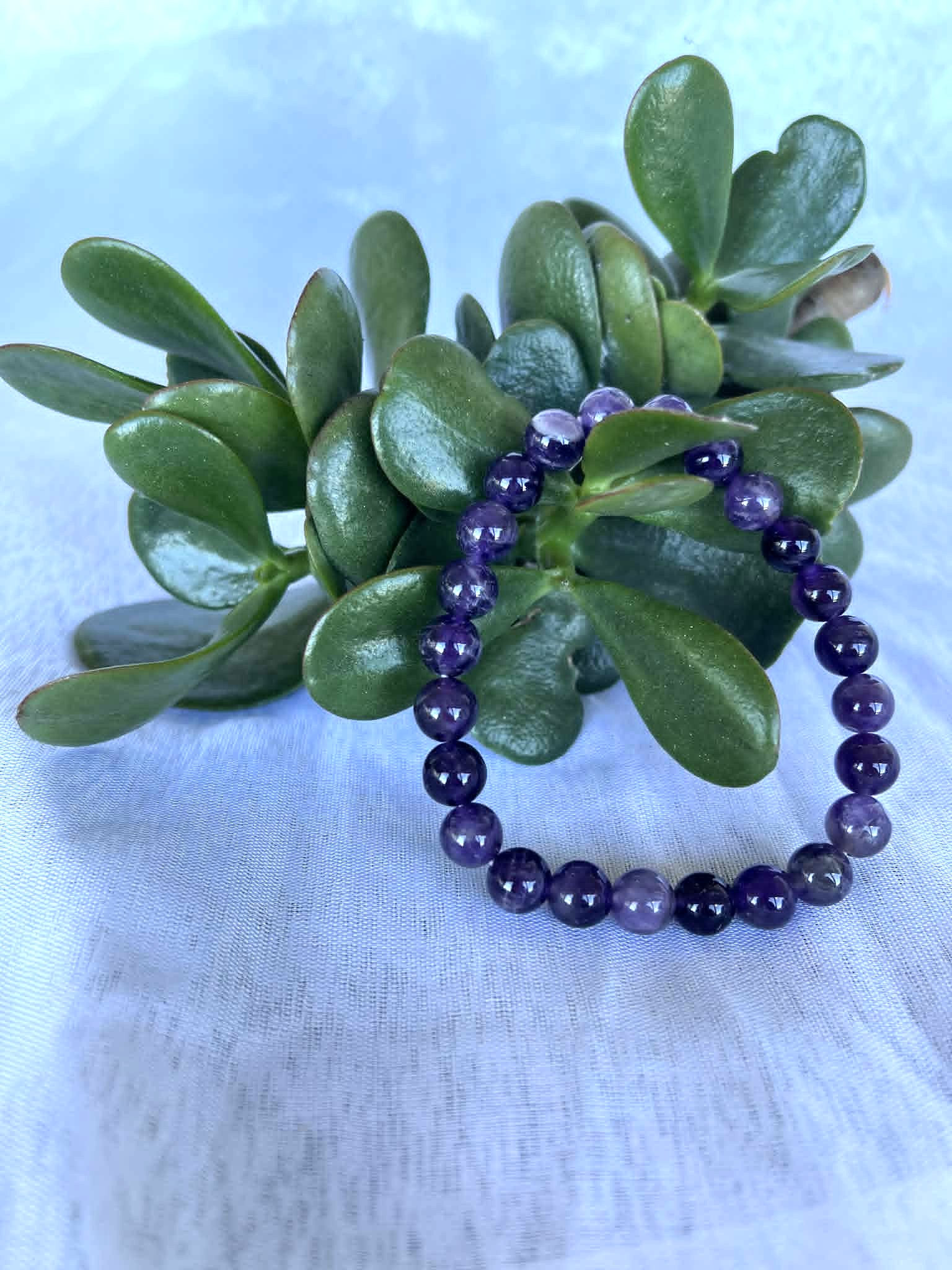 Amethyst Bracelet 8mm Amethyst Beaded Bracelet