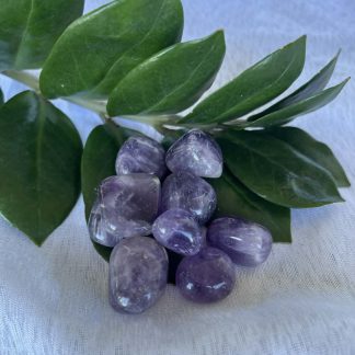 Amethyst Tumbled Crystals from Brazil