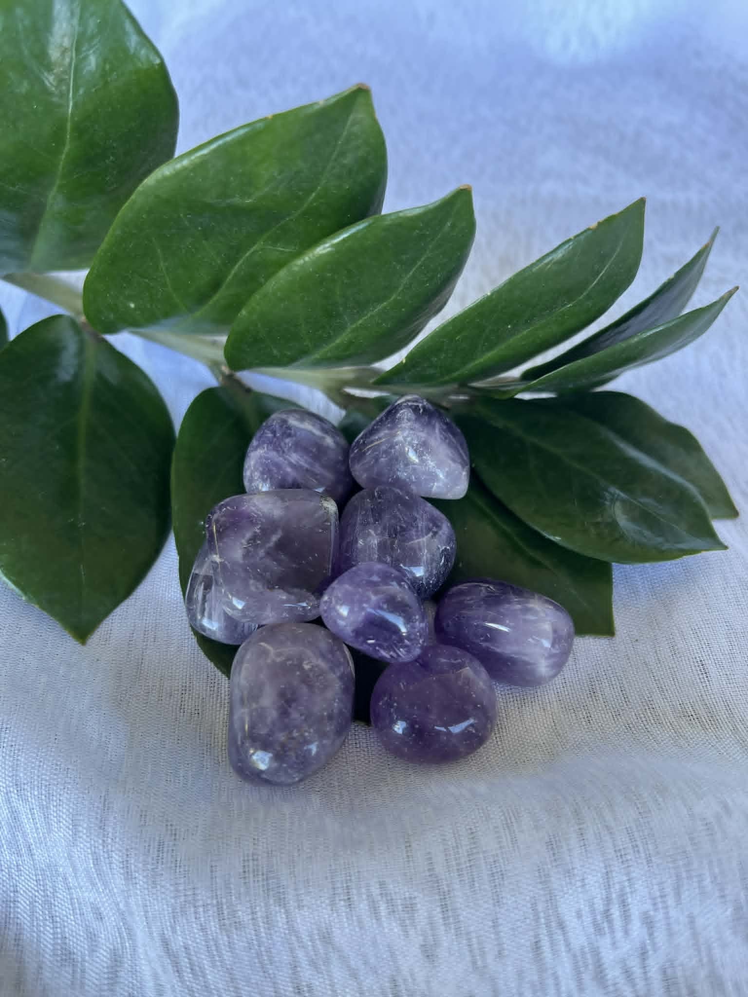 Amethyst Tumbles Amethyst Tumbled Crystals from Brazil