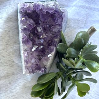 Amethyst Cluster - 793g