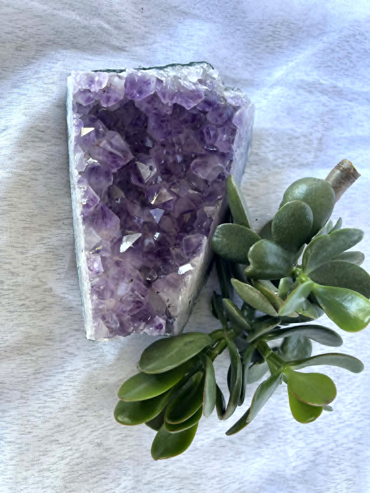 Amethyst cluster 794 1 Amethyst Cluster - 793g