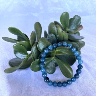 8mm Apatite Beaded Bracelet