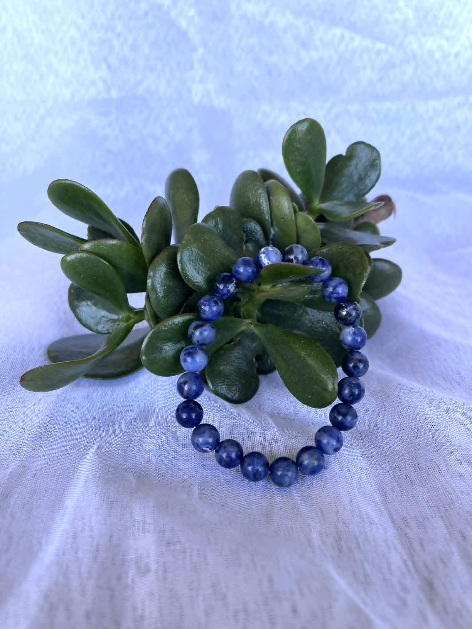 Sodalite Bracelet 2 8mm Sodalite Beaded Bracelet