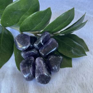 Dark Amethyst Tumbled Crystals