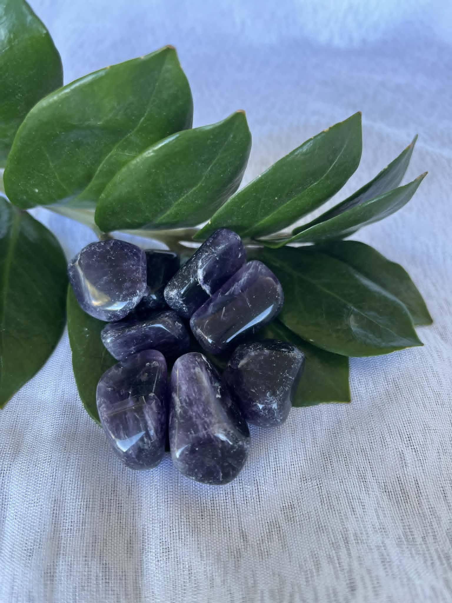 Dark Amethyst Dark Amethyst Tumbled Crystals