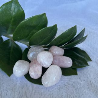 Rose Quartz Tumbled Crystals