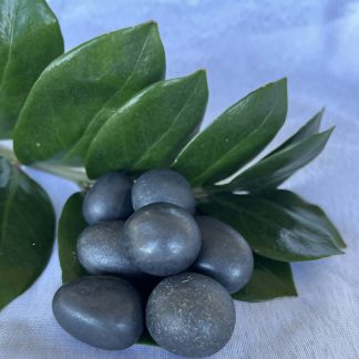 Shungite Tumbled Stones