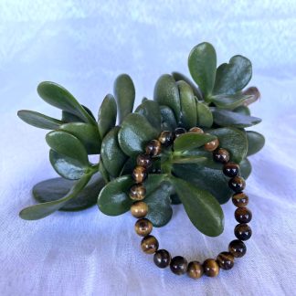8mm Tiger Eye Beaded Bracelet