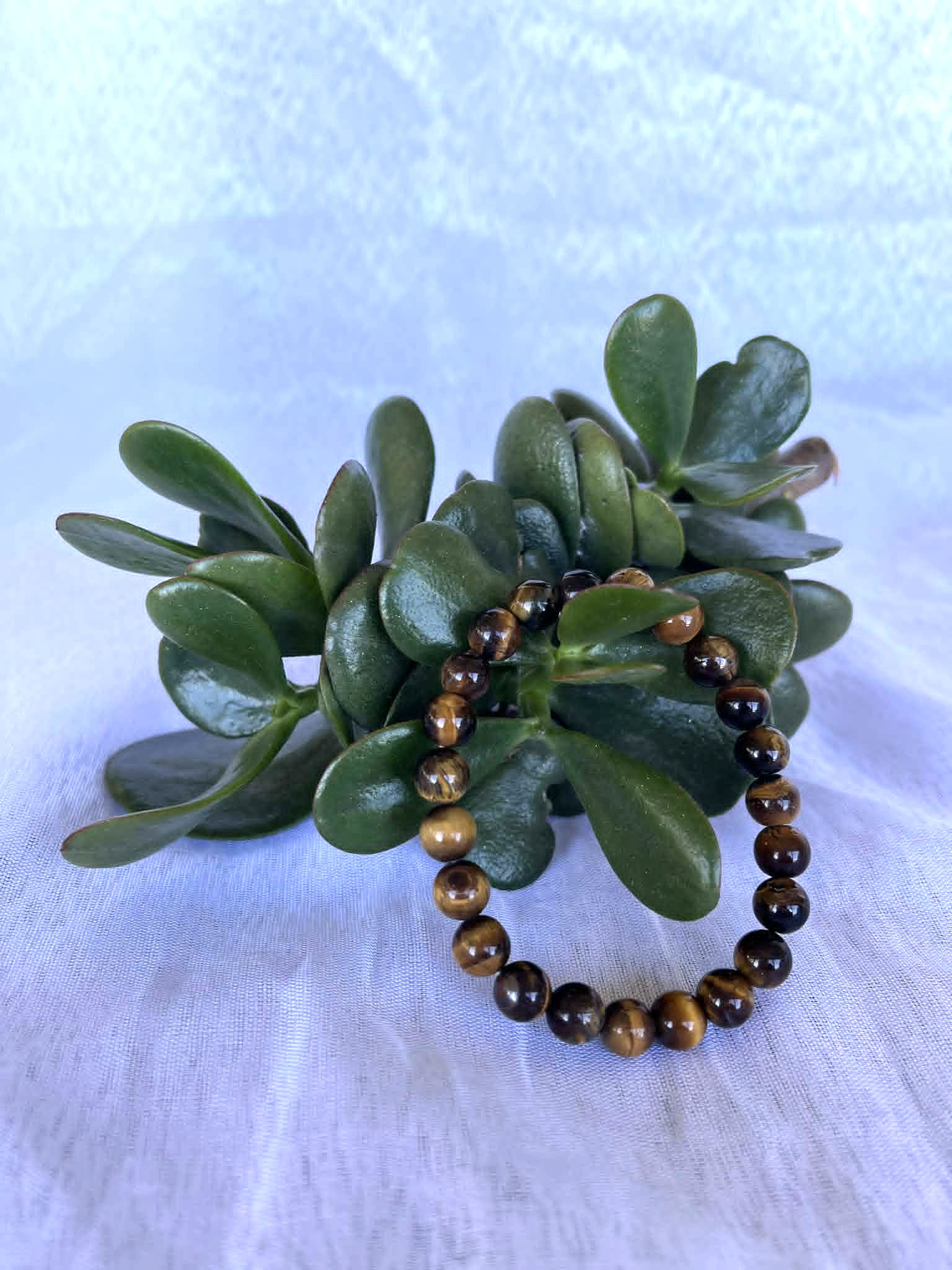 Tiger Eye Bracelet 2 8mm Tiger Eye Beaded Bracelet