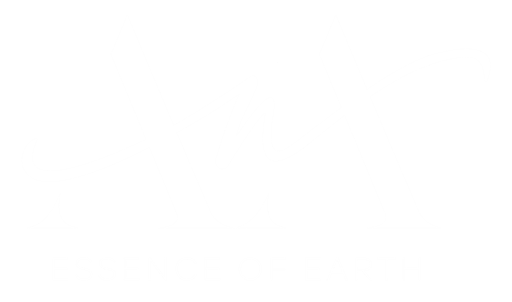 cropped ana logo white resized 1.png